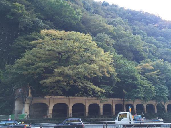 Masutomi Ryokan Hakone Exteriér fotografie